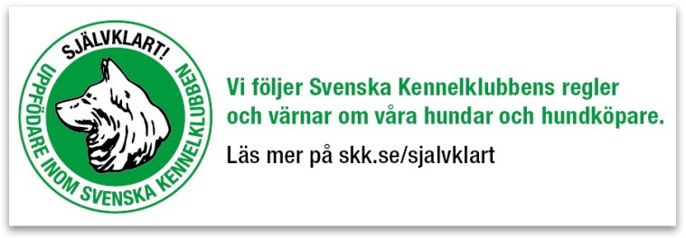 sjalvklart-vit-880x290px